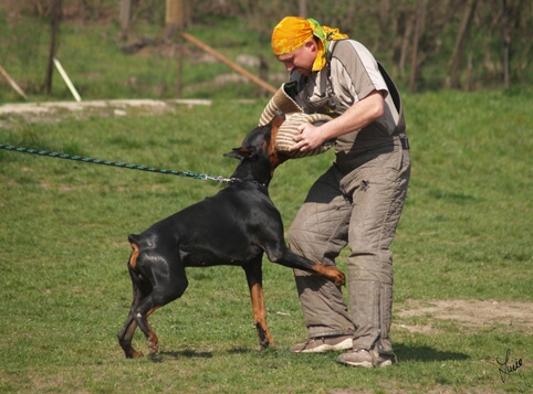 Santa Julf Efrat - training 4. 4. 2007